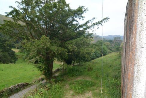 FINCA EN PURÓN