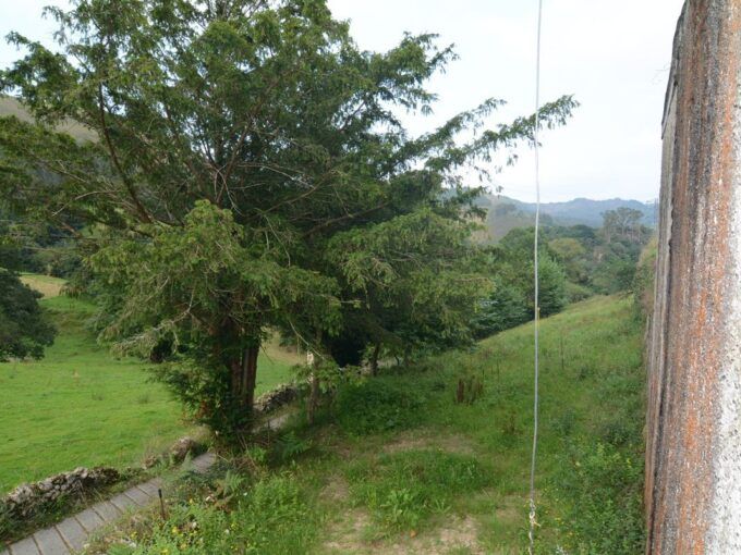 FINCA EN PURÓN