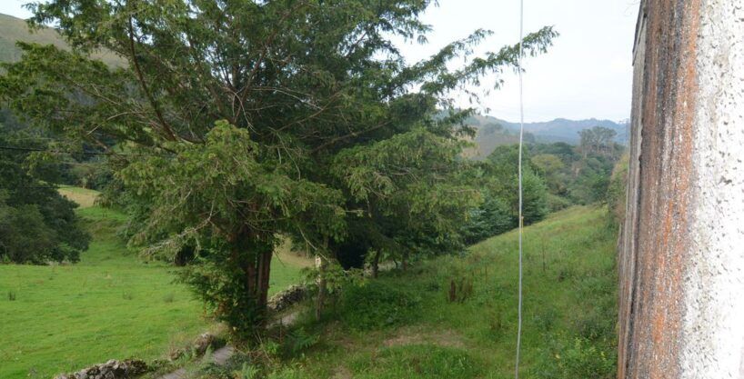 FINCA EN PURÓN