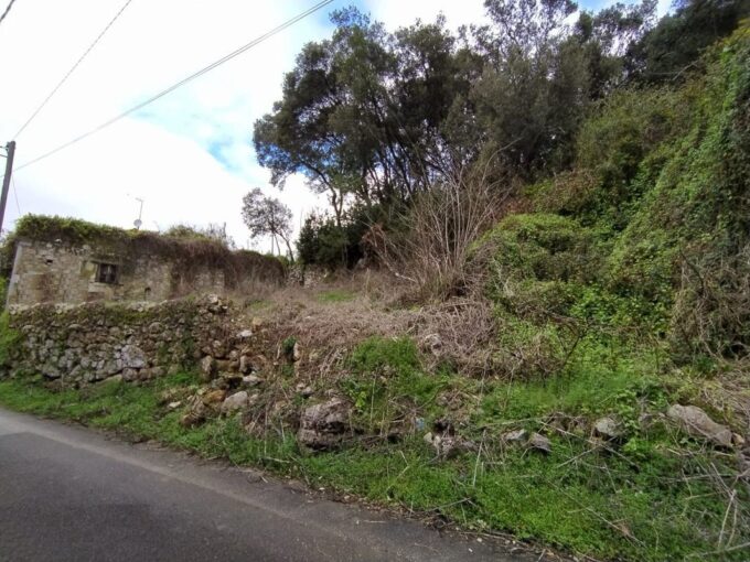 BARRO