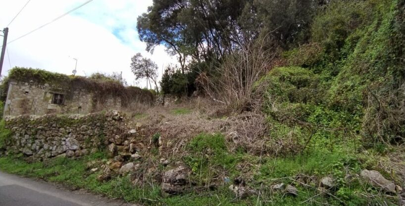 BARRO