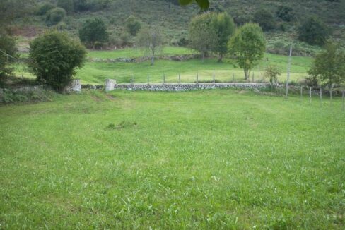 FINCA EN LA BORBOLLA