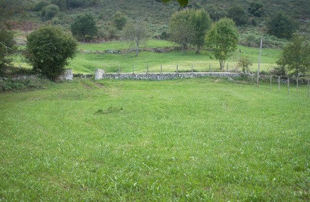 FINCA EN LA BORBOLLA