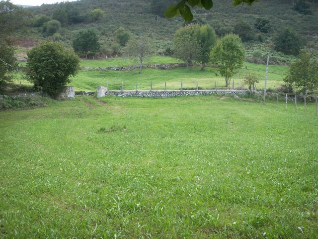 FINCA EN LA BORBOLLA