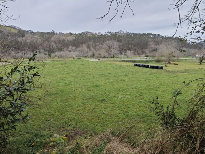 FINCA RUSTICA EN VIBAÑU: UN RINCON DE PAZ