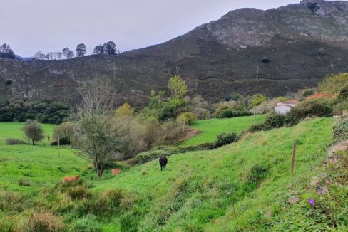 MARAVILLOSAS VISTAS
