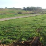 NORIEGA. Tres parcelas de 1125 M2 cada una