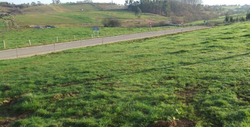 NORIEGA. Tres parcelas de 1125 M2 cada una