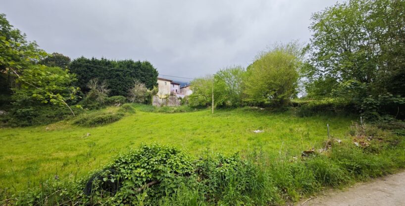 FINCA EN LA PEREDA.