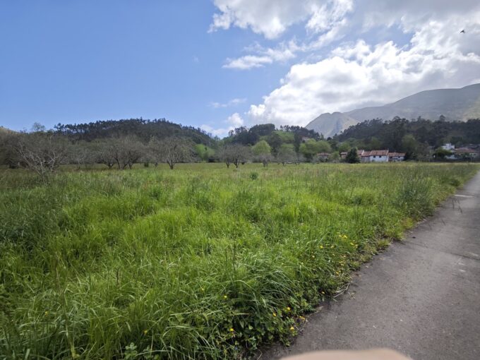 FINCA EN LLANES.