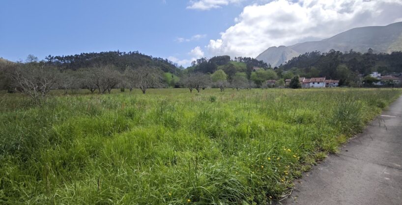 FINCA EN LLANES.