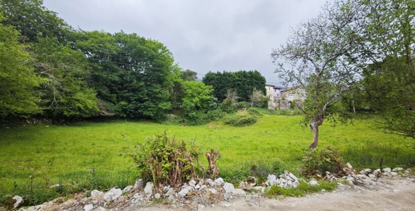 FINCA PRÓXIMA A LLANES.