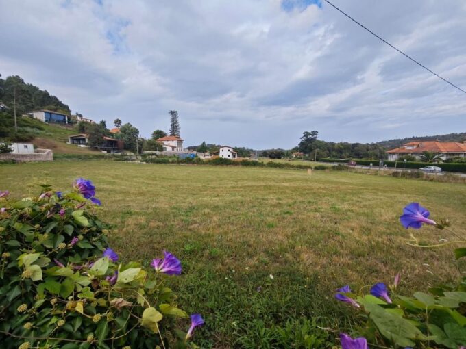 PLAYA Y MONTAÑA