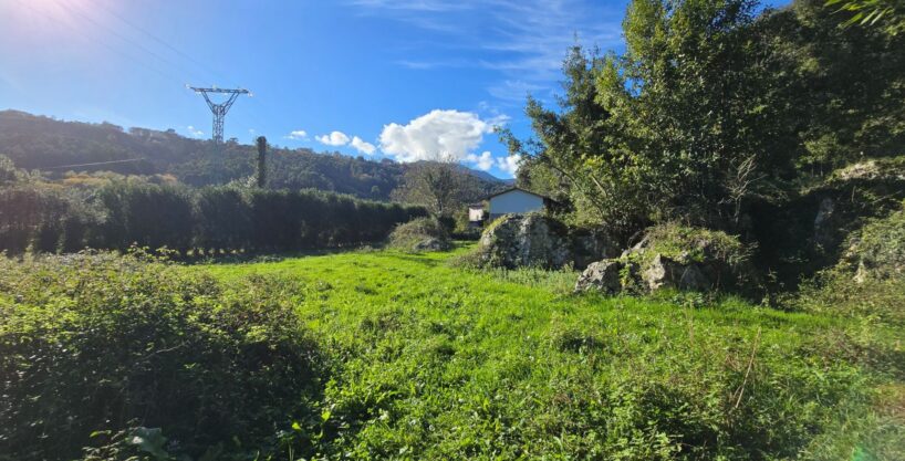 PARCELA EN VIDIAGO