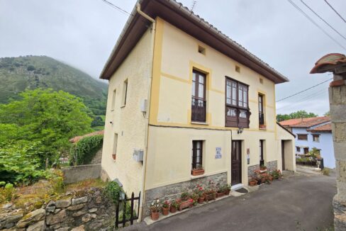 CASA ASTURIANA CON VISTAS A LA MONTAÑA