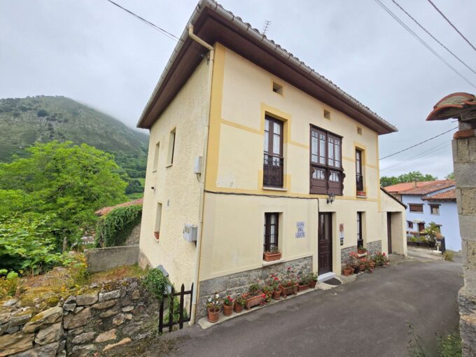 CASA ASTURIANA CON VISTAS A LA MONTAÑA