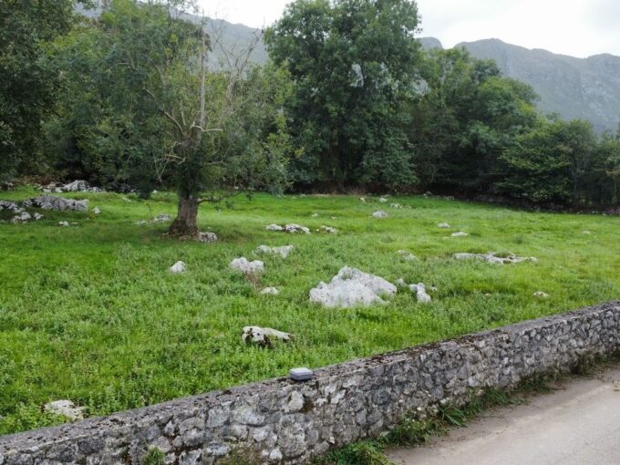 PARCELA EN PLENA NATURALEZA A 5 MINUTOS DE LLANES