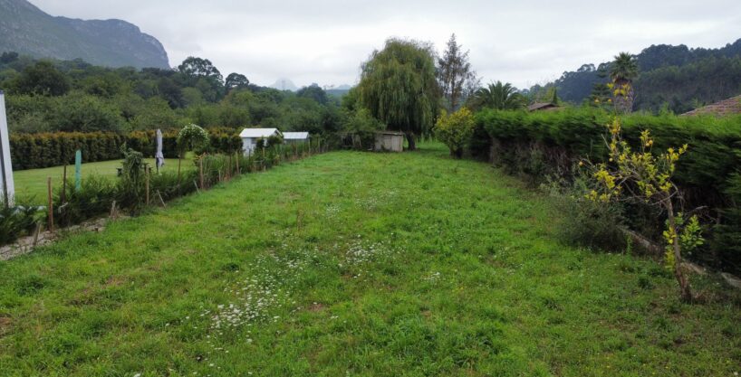 PARCELA DE 2.034 M2 EN CAMANGU (RIBADESELLA)
