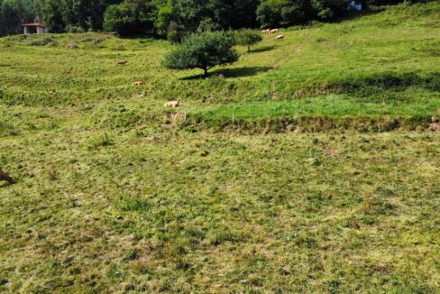 PARCELA DE 2350 M2 EN PIE DE LA SIERRA