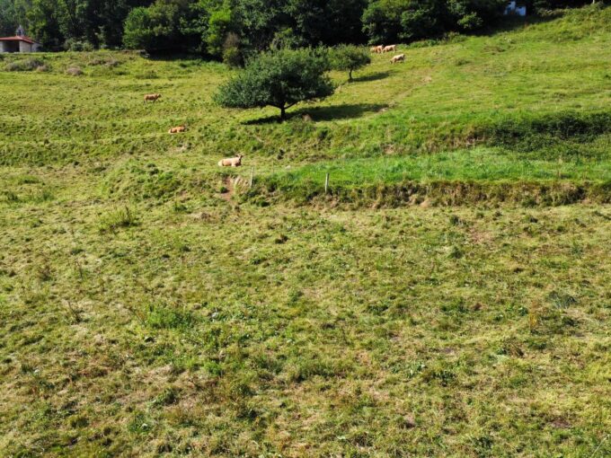 PARCELA DE 2350 M2 EN PIE DE LA SIERRA