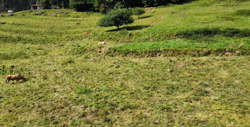 PARCELA DE 2350 M2 EN PIE DE LA SIERRA